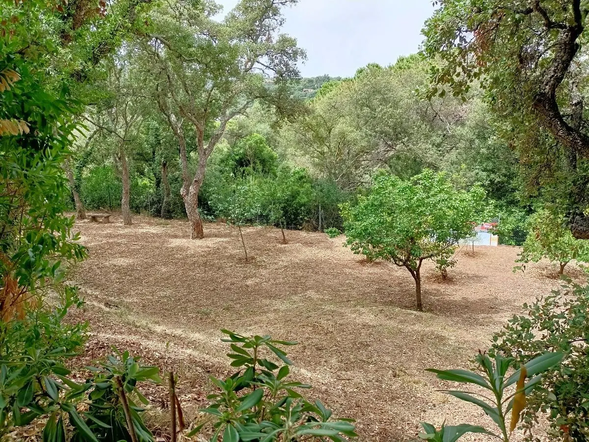 קאפוליברי Villa Tamara 2